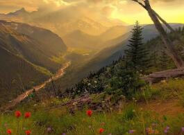 内蒙古大学录取分数线2019（内蒙古本科大学排名及分数线）