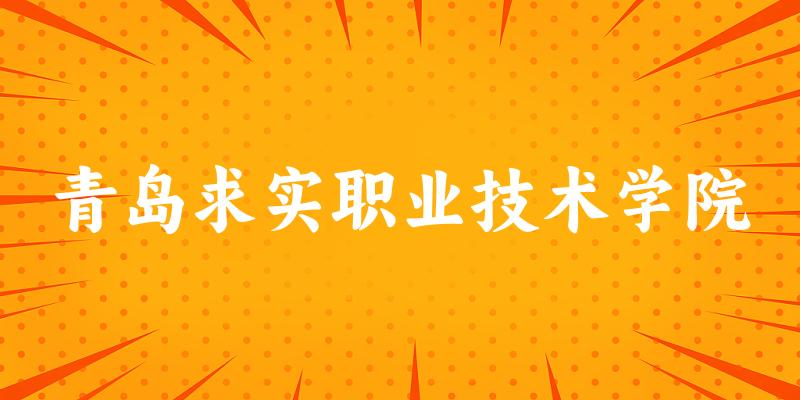 青岛求实职业技术学院2024年录取分数线_山东求实职业技术学院_青岛求实职业技术学院往年录取分数线