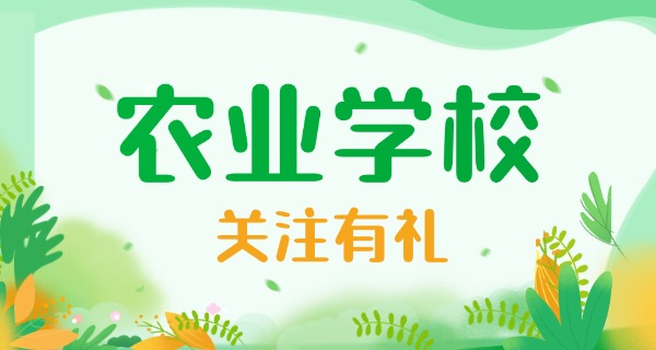 景 德镇中级会计师报考条件有什么要求