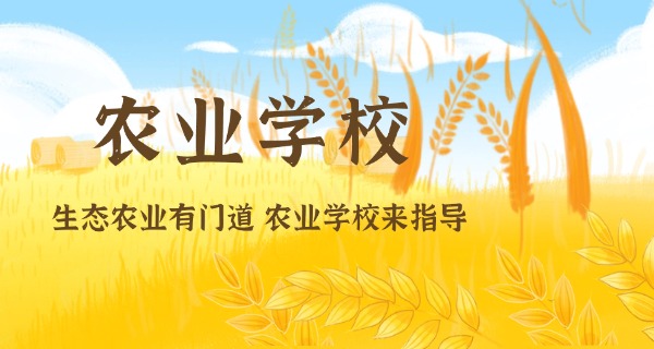 景 德镇中级会计师报考条件有什么要求