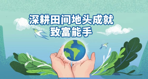 南 平中级会计师报考条件及专业详细要求