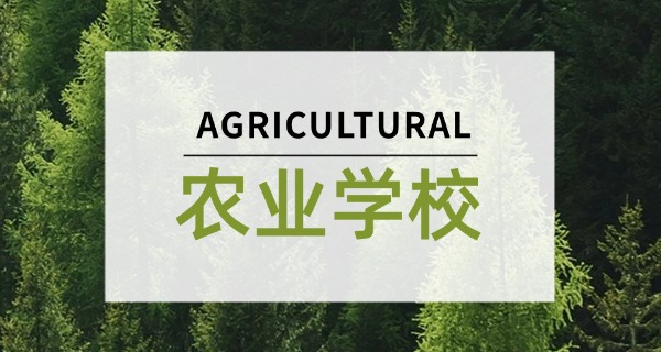 梁 平区中级会计师报考条件有什么要求