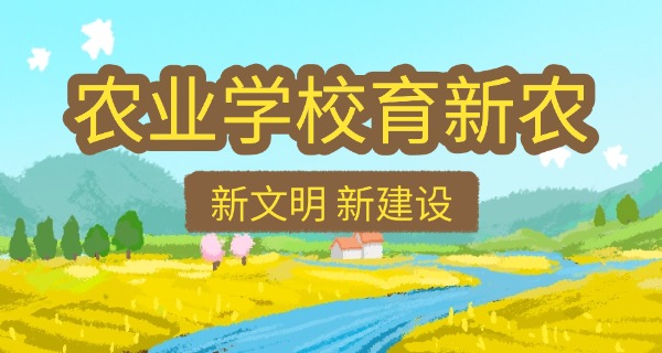 梁 平区中级会计师报考条件有什么要求